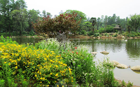 淺談目前我國人工濕地污水處理技術